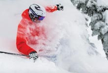 Skier in powder snow skiing